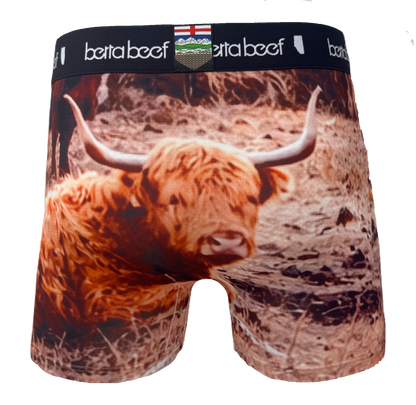 HARRY THE HIGHLAND